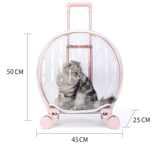 Bolsa Transportadora Transparente para Gatos - Image 10