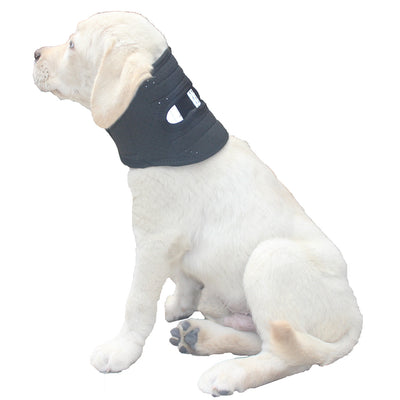 Collar de Soporte Veterinario Ajustable - Protección Anti-lametazos para Perros Pequeños, Medianos y Grandes - Image 8