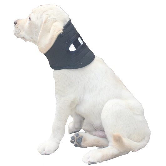 Collar de Soporte Veterinario Ajustable - Protección Anti-lametazos para Perros Pequeños, Medianos y Grandes - Image 8