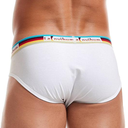 Calzones de Algodón con Elástico Multicolor - Image 12