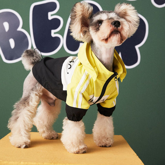 Impermeable para Perros - Abrigo Protector Resistente al Agua - Image 5