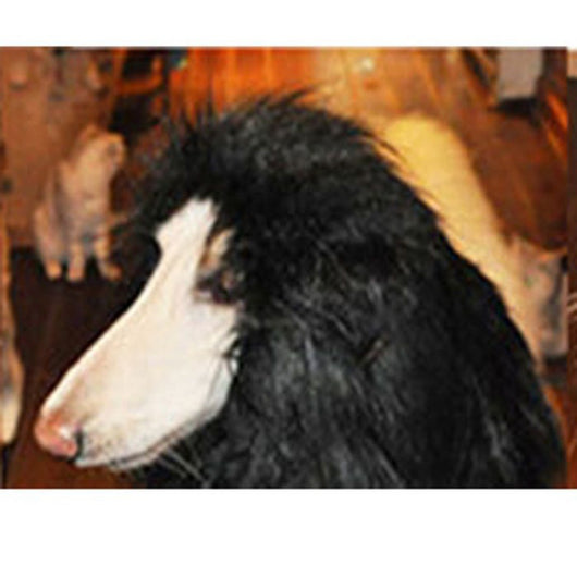 Peluca de Crin de León para Perros Grandes - Image 7