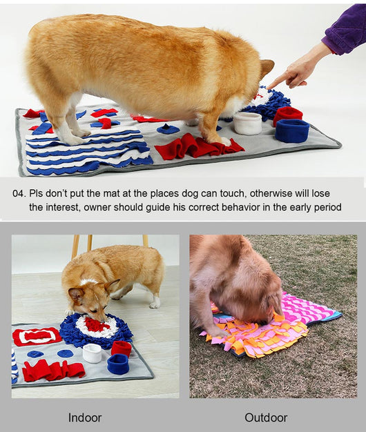 Manta de Entrenamiento Olfativo para Mascotas con Texturas Interactivas - Image 11