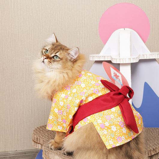 Yukata Japonés para Mascotas - Kimono Estilo Hanfu - Image 10