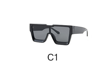 Gafas de Sol Personalizadas Montura Integral Trendy - Image 2