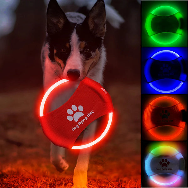 Disco Volador LED Luminoso para Perros - Juguete Interactivo Entretenimiento