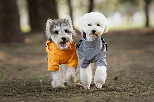 Impermeable para Perros Pequeños y Medianos con Arnés Integrado - Image 24