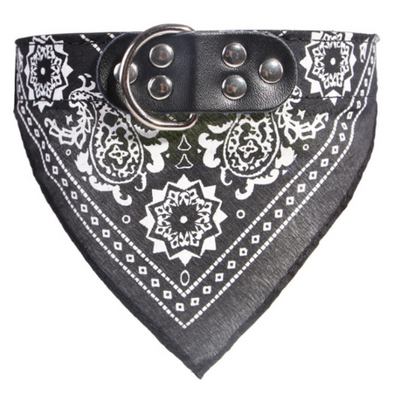 Collar Personalizado para Perros Medianos y Grandes con Letras - Image 4
