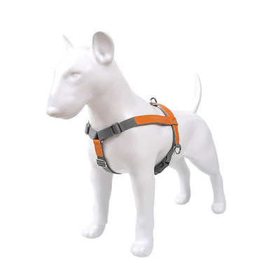 Arnés de Pecho para Perro en Cuero con Correa de Nylon - Image 12