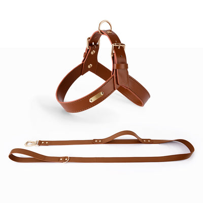 Arnés Chaleco para Perros y Gatos - Correa de Pecho Ajustable para Verano - Image 11