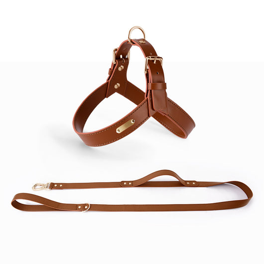Arnés Chaleco para Perros y Gatos - Correa de Pecho Ajustable para Verano - Image 11