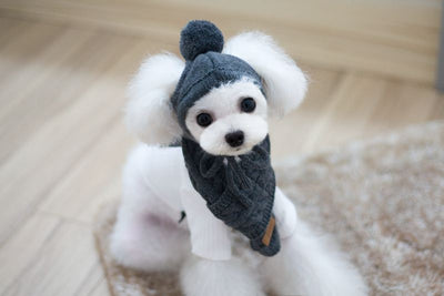 Conjunto de Abrigo para Perro: Gorro, Babero y Bufanda de Lana para Otoño e Invierno - Image 3