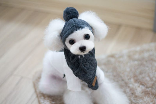 Conjunto de Abrigo para Perro: Gorro, Babero y Bufanda de Lana para Otoño e Invierno - Image 3