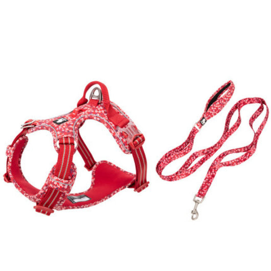 Arnés de Pecho con Correa para Perros - Sistema Completo de Seguridad - Image 5