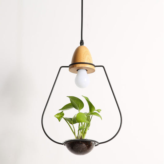 Lámpara Colgante con Plantas