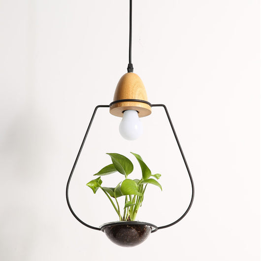 Lámpara Colgante con Plantas