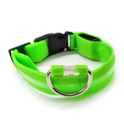 Collar Luminoso Antiextravío para Perros con Placa de Identificación - Image 16