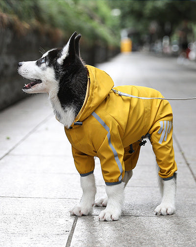 Impermeable para Perros - Abrigo Impermeable de 4 Patas para Mascotas Pequeñas - Image 20