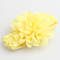 Amarelo B
