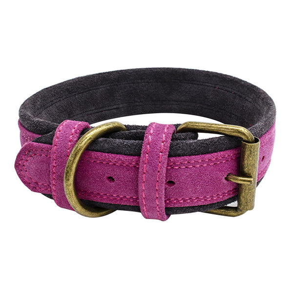 Collar para Mascota de Cuero Nobuk con Doble Contraste de Color