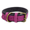 Collar para Mascota de Cuero Nobuk con Doble Contraste de Color