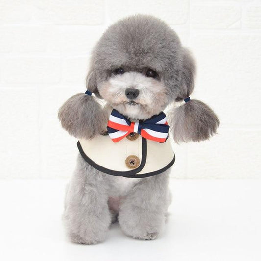Babero Pajarita para Mascotas con Toalla Absorbente