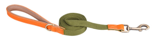 Collar de Cuero para Perros Anti-pérdida con Placa de Identificación - Image 8