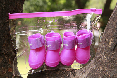 Botines Protectores para Perros - Image 10