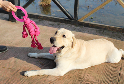 Juguete Interactivo de Nudos para Perros Grandes - Image 3