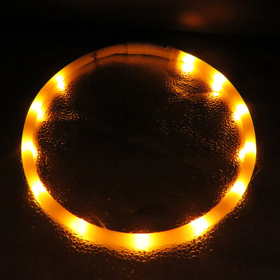 Collar Luminoso Antiextravío para Perros Grandes - Seguridad Visible - Image 16