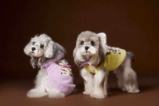 Chaleco Sudadera con Capucha y Estampado de Perrito - Image 26