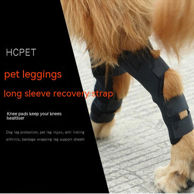 Rodillera Protectora para Perros con Soporte Antilamido y Recuperación Articular - Image 6