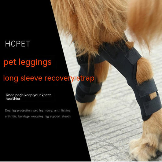 Rodillera Protectora para Perros con Soporte Antilamido y Recuperación Articular - Image 6