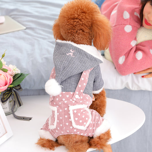 Abrigo Térmico para Cachorros Pequeños - Ropa de Invierno y Otoño - Image 11