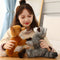 Peluche Adorable de Mapache y Zorro - Juguete Animal Favorito de Niños