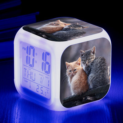 Reloj Despertador Cuadrado Multicolor para Gatos - Image 32