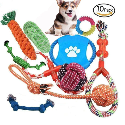 Set Completo de Juguetes para Mascotas