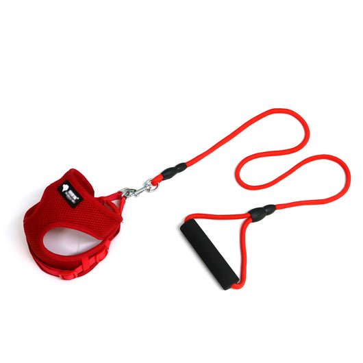 Correa y Collar para Perro - Control Seguro y Cómodo - Image 2