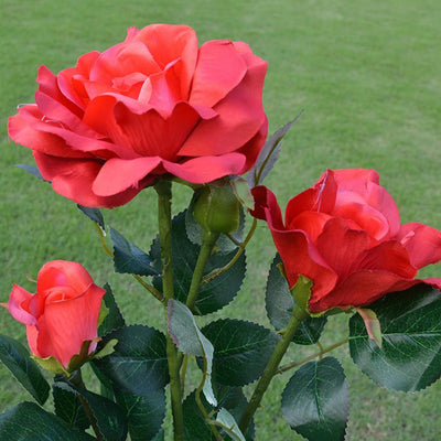 Linterna Romántica con Rosas Blancas y 3 Luces LED - Image 6