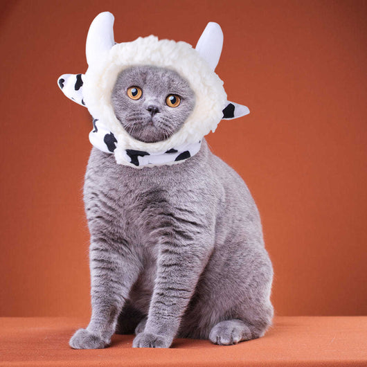 Gorro Rizado Divertido para Mascotas - Disfraz Cómico para Gatos y Perros - Image 43