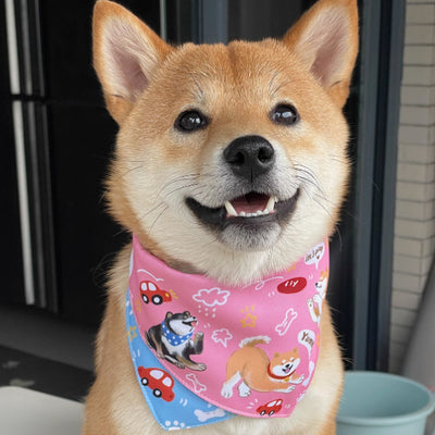 Carpeta Triangular Reversible Shiba Inu con Diseño Doble Cara