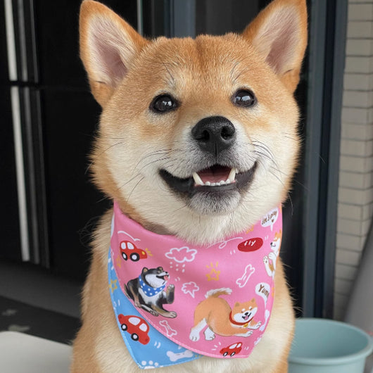 Carpeta Triangular Reversible Shiba Inu con Diseño Doble Cara