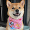 Carpeta Triangular Reversible Shiba Inu con Diseño Doble Cara