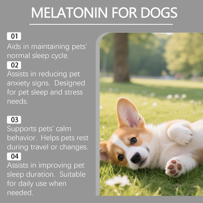 Gotas de Melatonina Avanzada para Perros - Image 10