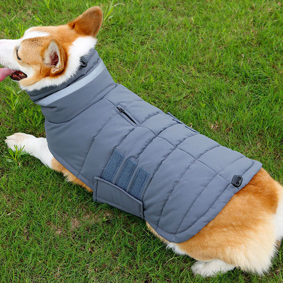 Abrigo Impermeable para Perros Medianos y Grandes - Chaleco Térmico Acolchado