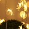 Warm Blanco Battery 1.5 M 10 Lights