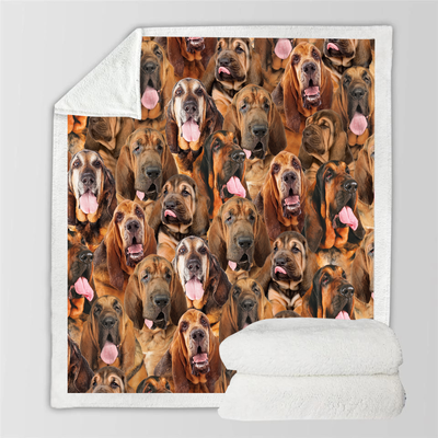 Manta de Franela Estampada para Perros de Diseño Moderno - Image 48
