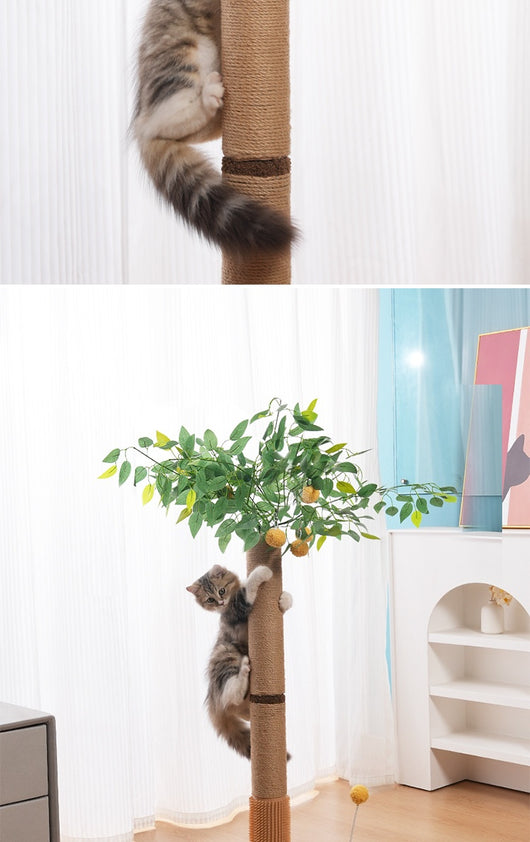 Árbol Rascador para Gatos con Sistema Anti-Polvo - Image 16