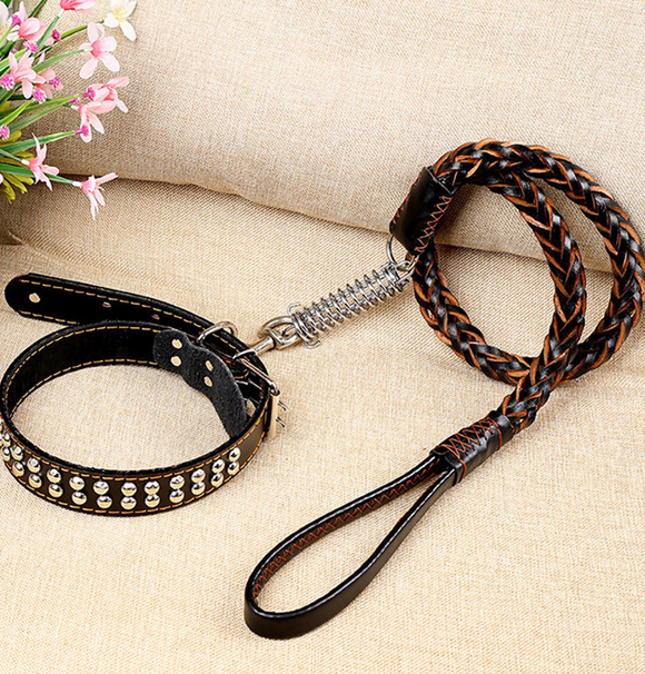 Collar de Tracción con Cadena de Cuero Antiexplosión