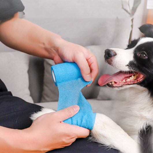 Protector de Patas para Paseos - Botines Impermeables para Perros - Image 13